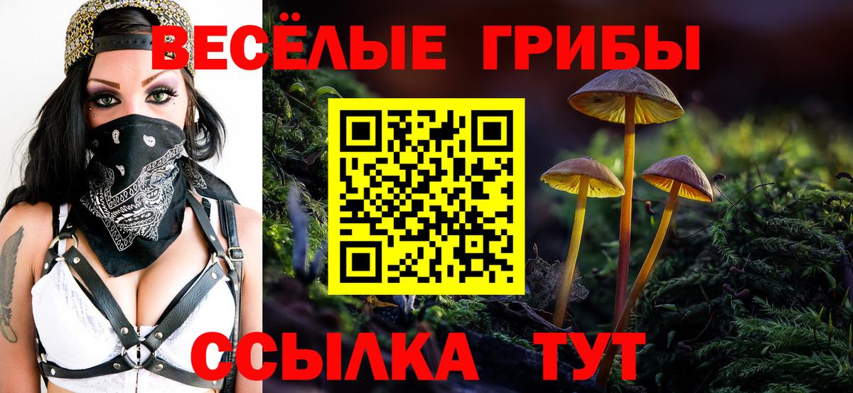 Галлюциногенные грибы MAGIC MUSHROOMS Зеленодольск