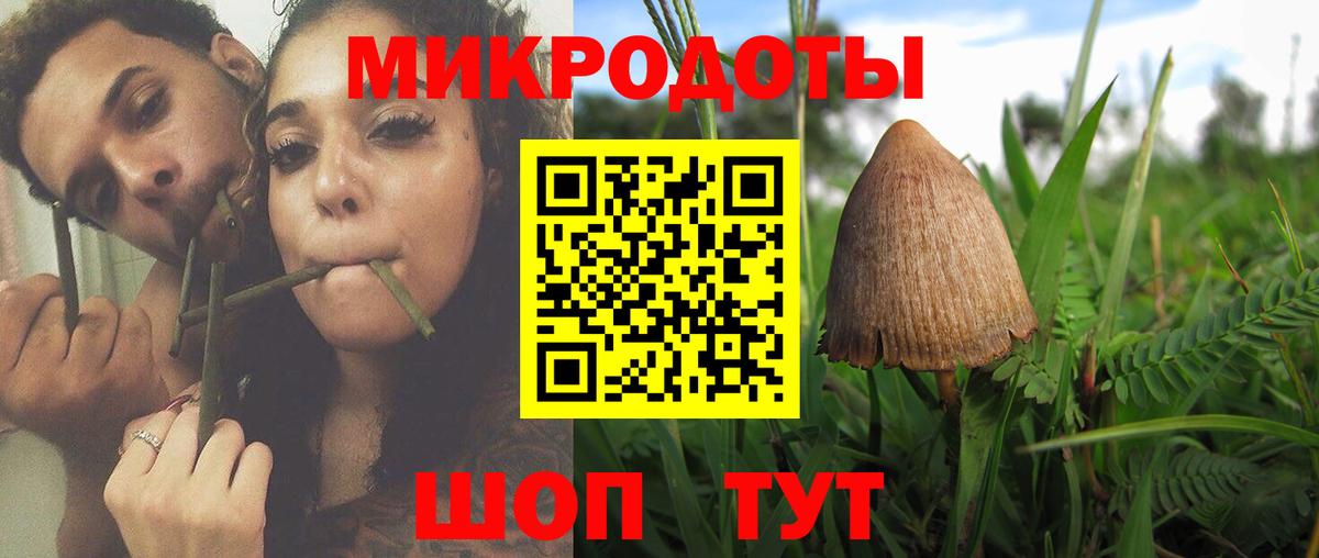 Зеленодольск  Галлюциногенные грибы прущие грибы  Вход с VPN 